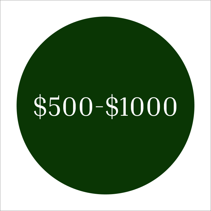 $500 - $1,000 CAD