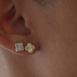 Mini Clover Stud