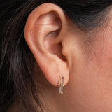 10K D-Link Earrings